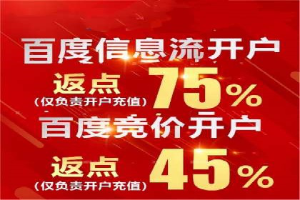 百度竞价排名案例分析：提升网站流量与转化率